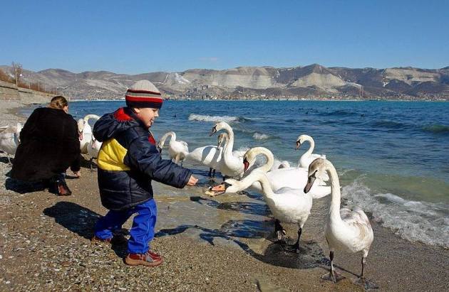 10982485_788505687892067_399484457980903109_n