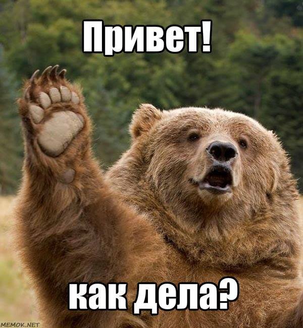 984062_2011237452434959_3317636721874579570_n