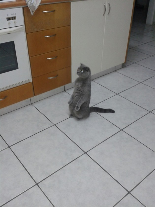 0-02-05-a2fa348be94e1f7667e0679453c4d618fa4accdbaa5818df4d030645a7527c8a_full