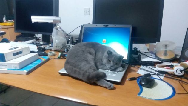 image-0-02-05-1d4ac1ffd16d57dfb76a78717d02cca594c75b90d4eb441118a77c2a29f8a5b9-v